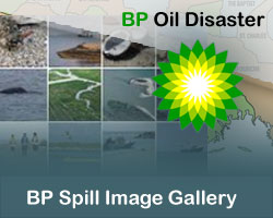 BP Spill photos from around the Gulf of Mexico